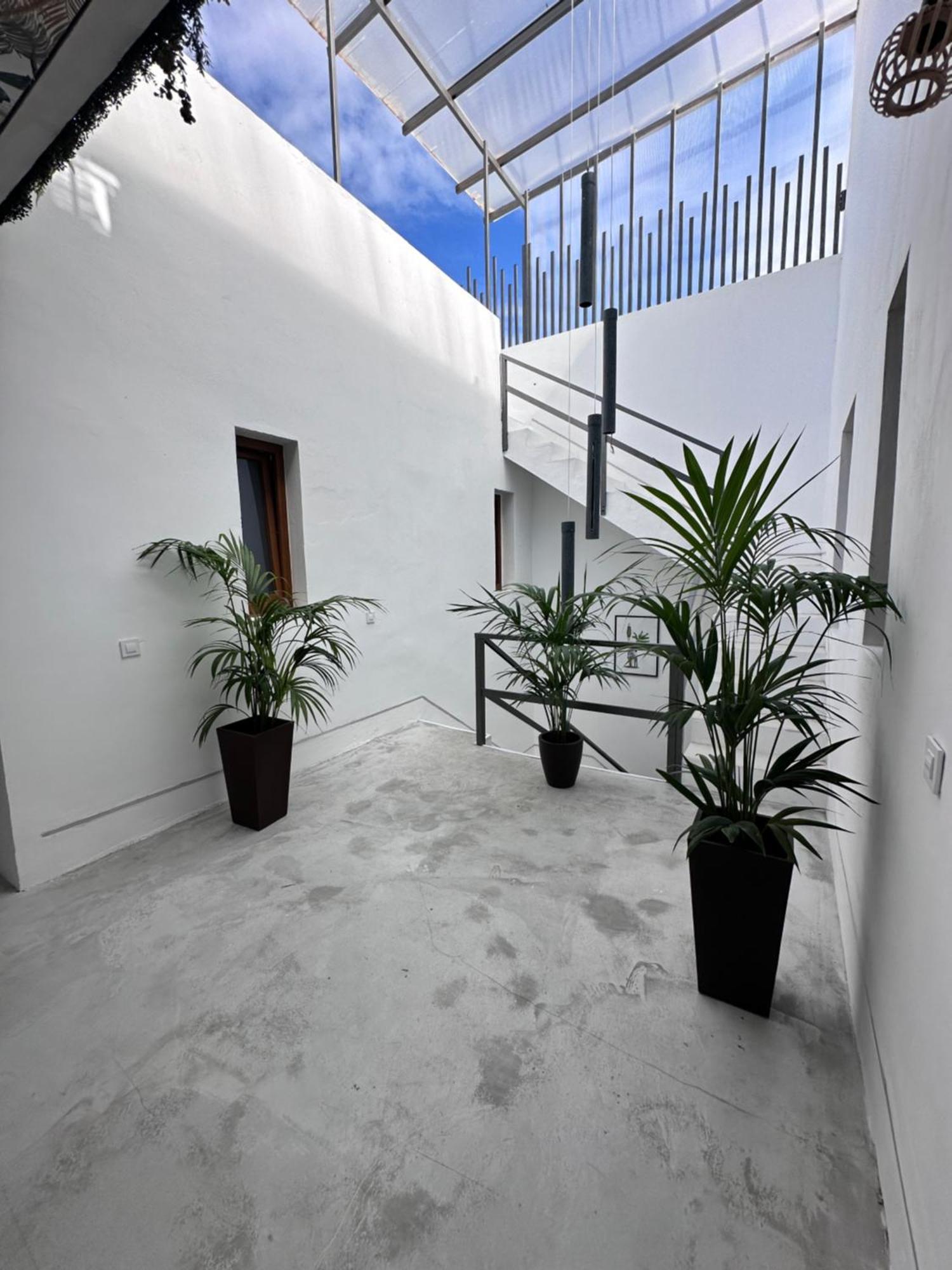 Euphorbia Suites Los Silos Exteriér fotografie